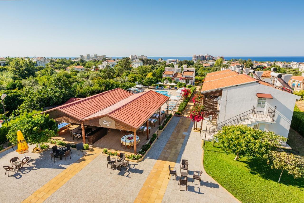 Citrus Tree Gardens Hotel Karavas  Bagian luar foto